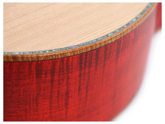 Taylor Custom Grand Auditorium Western Red Cedar / Maple Taylor Custom Grand Auditorium Western Red Cedar / Maple