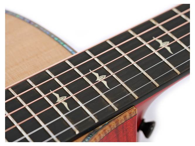 Taylor Custom Grand Auditorium Western Red Cedar / Maple Taylor Custom Grand Auditorium Western Red Cedar / Maple