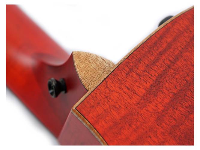 Taylor Custom Grand Auditorium Western Red Cedar / Maple Taylor Custom Grand Auditorium Western Red Cedar / Maple