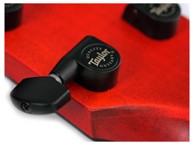 Taylor Custom Grand Auditorium Western Red Cedar / Maple Taylor Custom Grand Auditorium Western Red Cedar / Maple