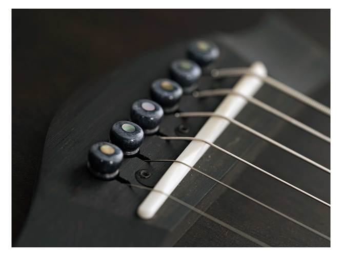 Taylor Custom Grand Theatre Blackwood Taylor Custom Grand Theatre Blackwood