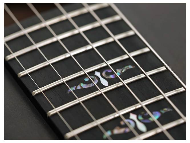 Taylor Custom Grand Theatre Blackwood Taylor Custom Grand Theatre Blackwood