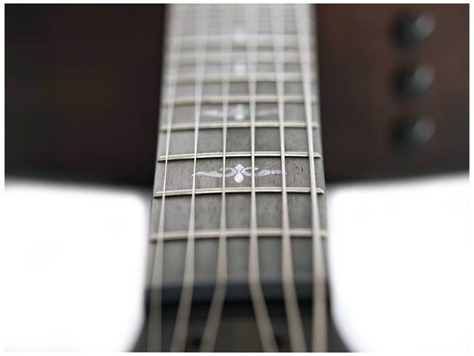 Taylor Custom Grand Theatre Blackwood Taylor Custom Grand Theatre Blackwood
