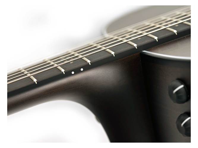 Taylor Custom Grand Theatre Blackwood Taylor Custom Grand Theatre Blackwood