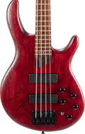 Cort B4 Element Open Pore Burgundy Red