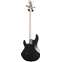 Music Man Sterling Sub Ray4 Rosewood Fingerboard Trans Black Satin Back View