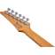 Ibanez GRG12SP Green Yellow Chameleon Front View
