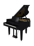 Roland GP-9-PE Polished Ebony Luxury Grand with Piano Concert Technology