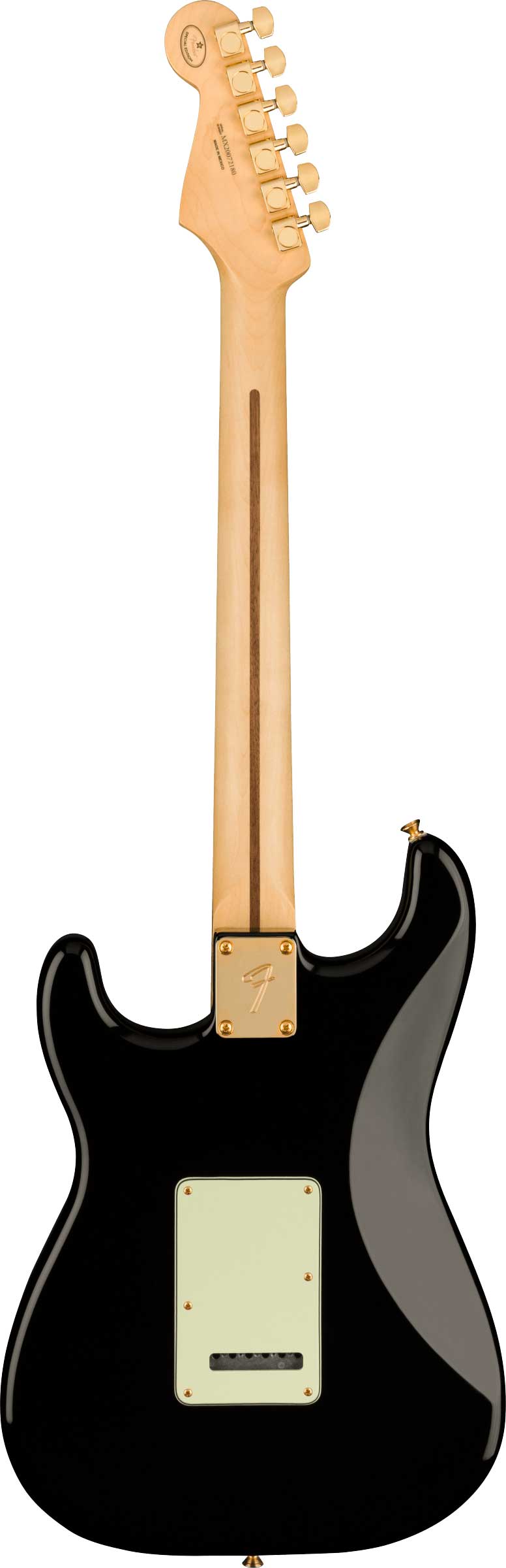 Fender Player Stratocaster Black with Gold Hardware