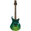 PRS Private Stock Modern Eagle V Limited Edition Laguna Dragons Breath #360501 Front View