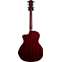 Taylor 224ce Deluxe Limited Edition Trans Red Grand Auditorium #2204063367 Back View