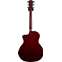 Taylor 224ce Deluxe Limited Edition Trans Red Grand Auditorium #2204063366 Back View