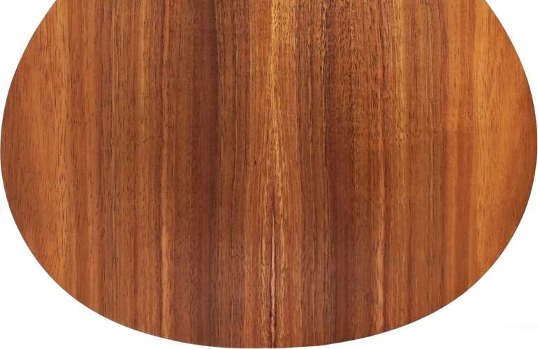 Taylor GS Mini-e Koa ES-B 1.2 #2204075192 Taylor GS Mini-e Koa ES-B 1.2 #2204075192