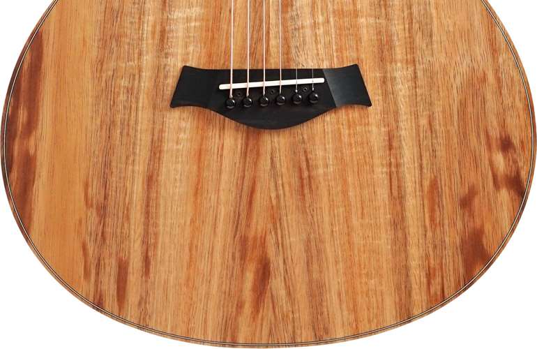 Taylor GS Mini-e Koa ES-B 1.2 #2204075192 Taylor GS Mini-e Koa ES-B 1.2 #2204075192