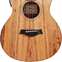 Taylor GS Mini-e Koa ES-B 1.2 #2204075192