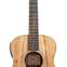 Taylor GS Mini-e Koa ES-B 1.2 #2204075192