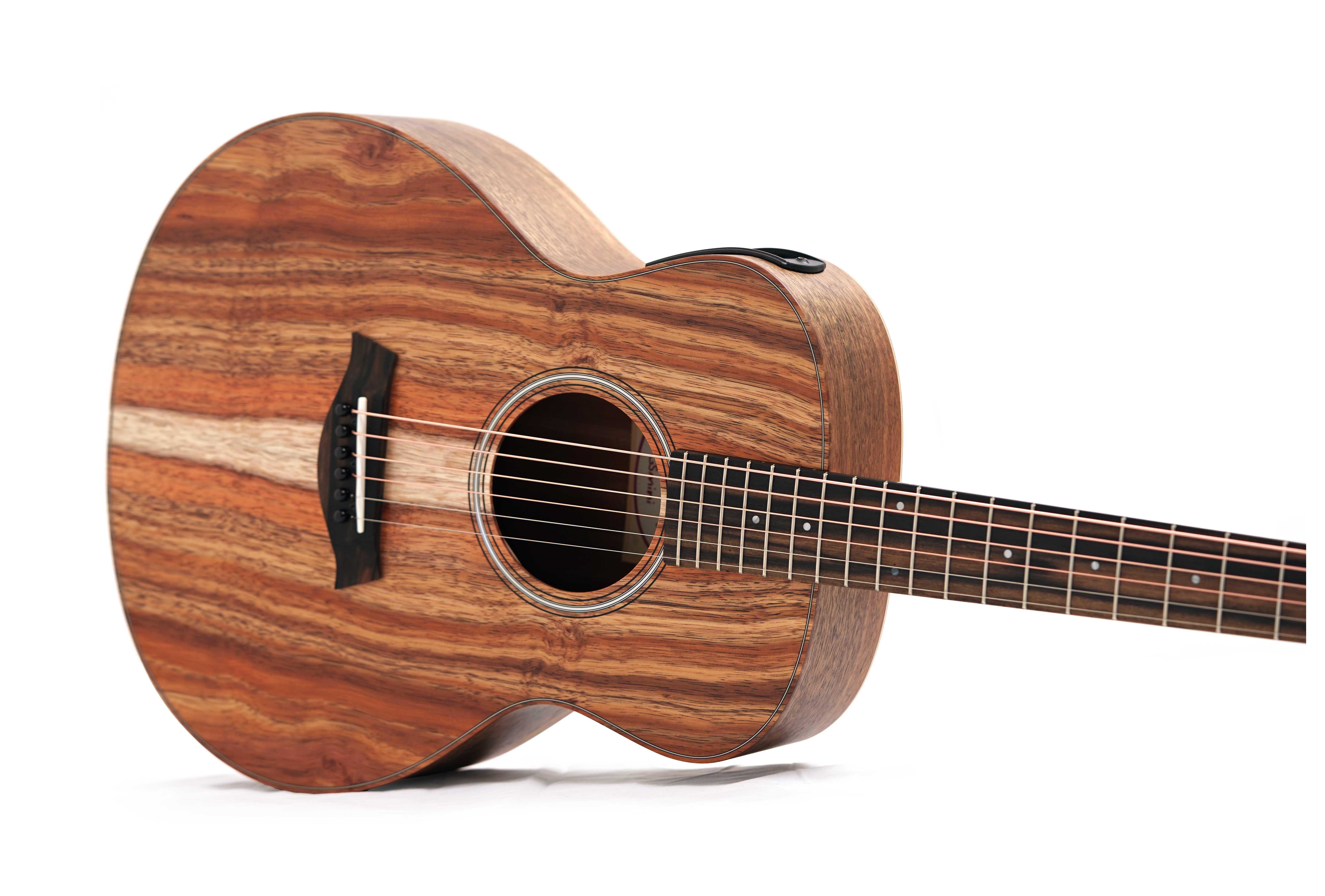 Taylor GS Mini-e Koa ES-B 1.2 #2209015375