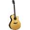 Breedlove Organic Performer Pro Concerto Aged Toner CE Front View