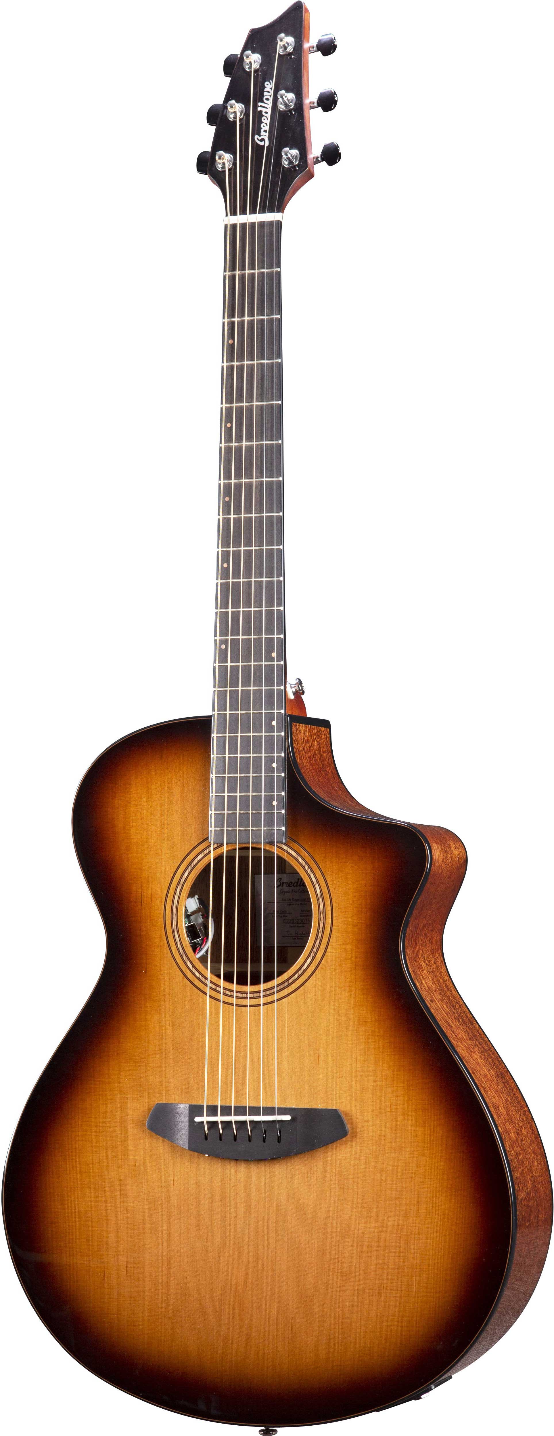 Breedlove 2024 concert ce