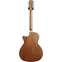 Alvarez Artist Series AG60ce 8-String Shadowburst Back View