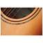 Alvarez Artist Series AG60ce 8-String Shadowburst Front View