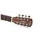 Alvarez Artist Series AG60ce 8-String Shadowburst Front View