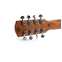 Alvarez Artist Series AG60ce 8-String Shadowburst Front View