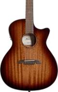 Alvarez Artist Series AG66ce Shadowburst