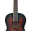 Alvarez Artist Series AP66e Shadowburst (Ex-Demo) #E24111031