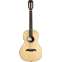 Alvarez Artist Series AP70e  Front View