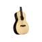 Alvarez Artist Series AP70e  Front View