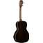 Alvarez Artist Series AP70e  Front View