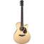 Furch Blue Gc-SW Sitka Spruce / Black Walnut with LR Baggs Stagepro Element Front View