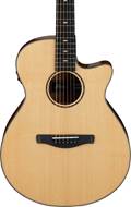 Ibanez AEG200 Electro Acoustic Low Gloss