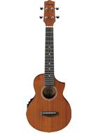 Ibanez UEW5E Concert Ukulele Open Pore Natural