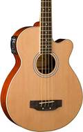 Washburn AB5 Acoustic Bass