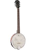 Washburn B6 6 String Banjo