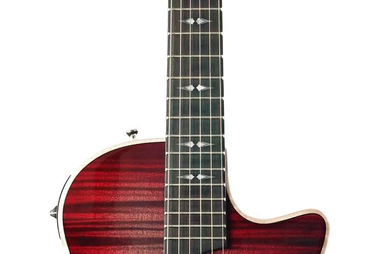 Taylor T5z Pro Grapevine #1204283134 Taylor T5z Pro Grapevine #1204283134