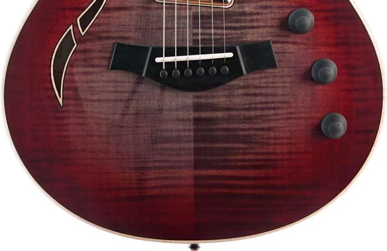 Taylor T5z Pro Grapevine Taylor T5z Pro Grapevine