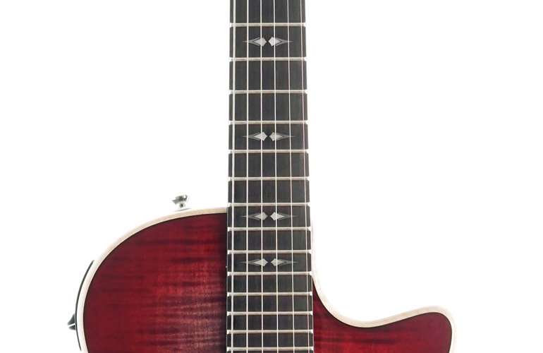 Taylor T5z Pro Grapevine Taylor T5z Pro Grapevine