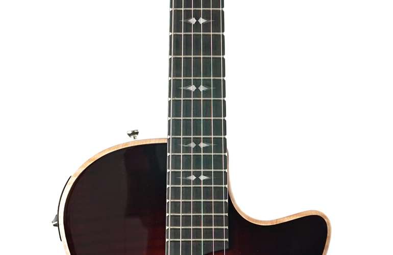 Taylor T5z Pro Tobacco Sunburst #1205244109 Taylor T5z Pro Tobacco Sunburst #1205244109