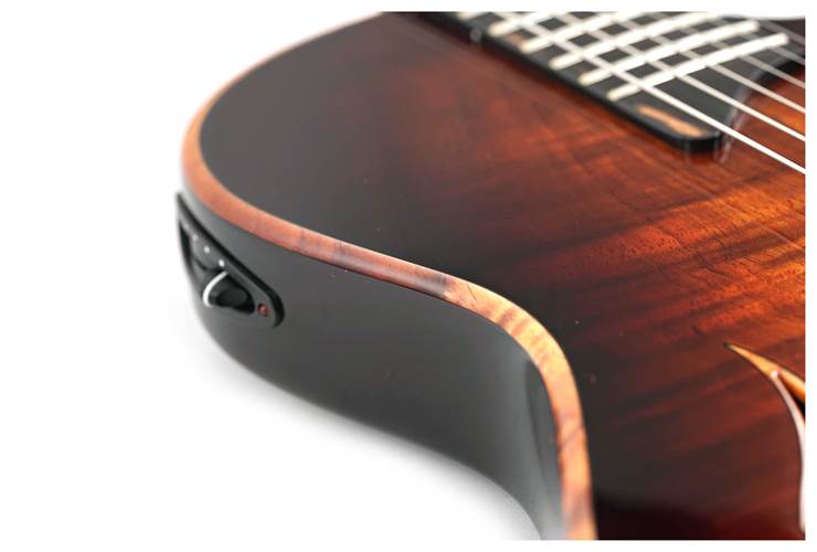 Taylor T5z Custom Koa (Ex-Demo) #1201315098 Taylor T5z Custom Koa (Ex-Demo) #1201315098