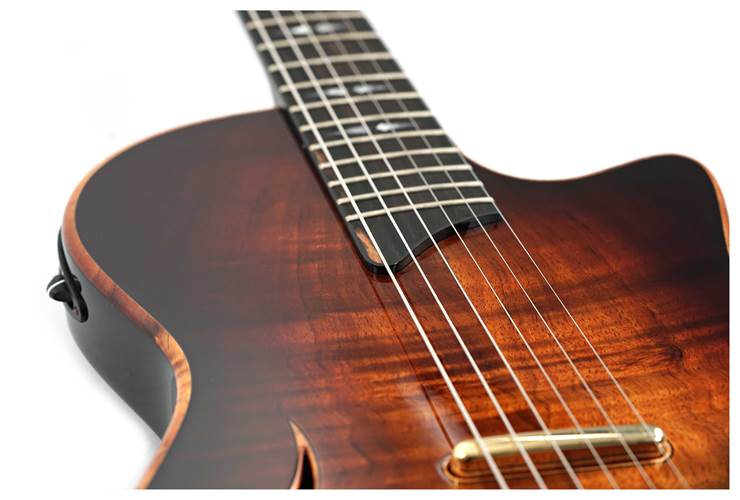 Taylor T5z Custom Koa (Ex-Demo) #1201315098 Taylor T5z Custom Koa (Ex-Demo) #1201315098