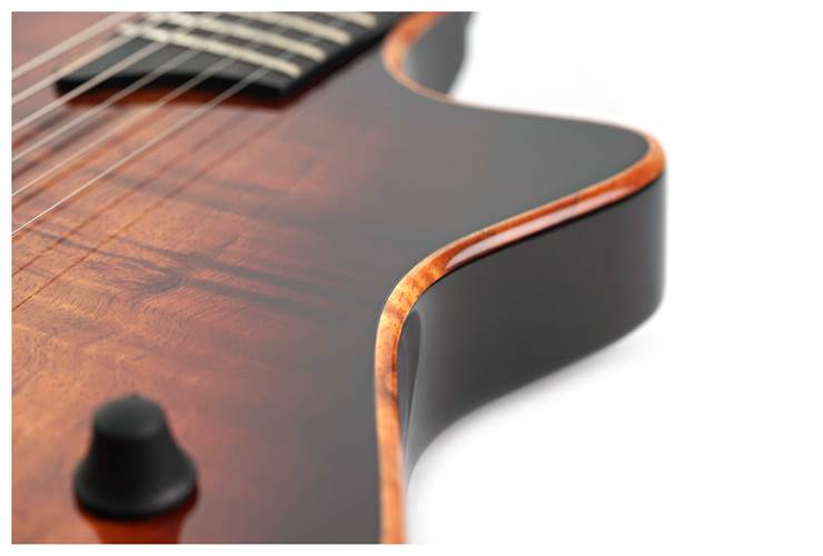 Taylor T5z Custom Koa (Ex-Demo) #1201315098 Taylor T5z Custom Koa (Ex-Demo) #1201315098
