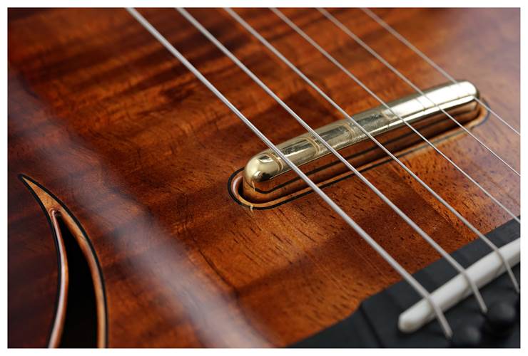 Taylor T5z Custom Koa (Ex-Demo) #1201315098 Taylor T5z Custom Koa (Ex-Demo) #1201315098