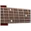 Gibson L-00 Rosewood 12-Fret Rosewood Burst Front View