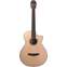 Furch GNc 2-SW Nylon Sitka Spruce/Walnut With LR Baggs EAS Front View