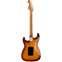 Fender Limited Edition Suona Stratocaster Thinline Violin Burst Back View
