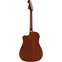 Fender Redondo Player Walnut Fingerboard Candy Apple Red Back View