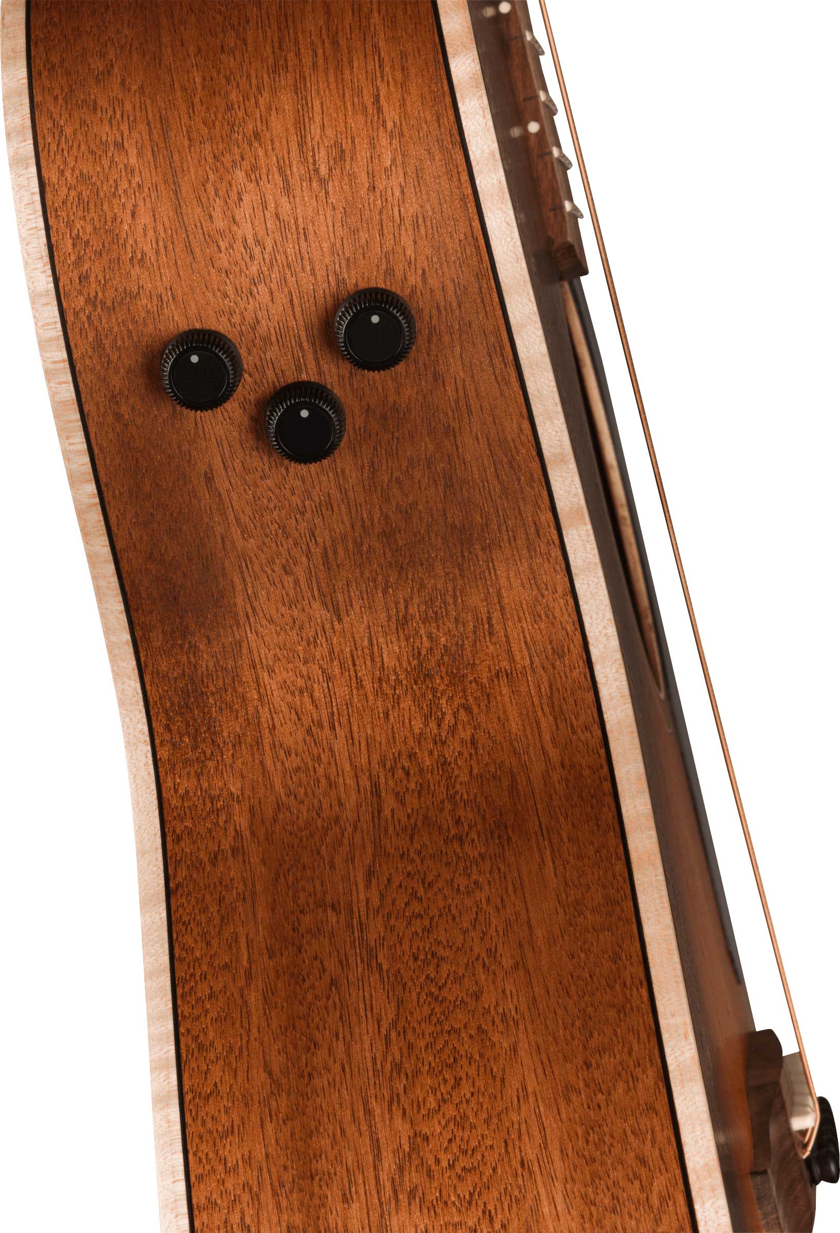 Fender Newporter Special Pau Ferro Fingerboard Honey Burst